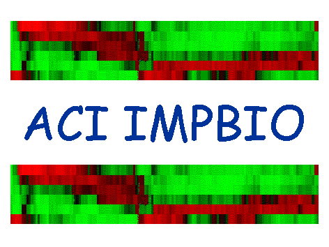 IMPBIO Logo